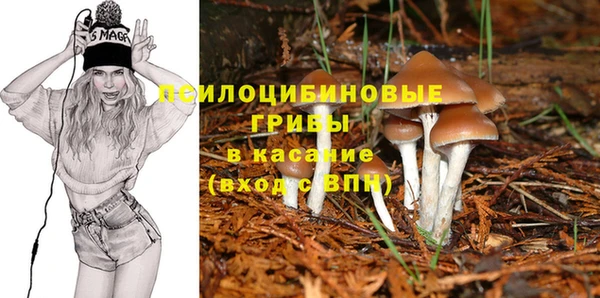 каннабис Алексеевка