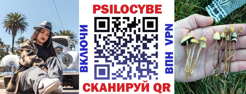 Псилоцибиновые грибы Psilocybe  ОМГ ОМГ зеркало  это состав  закладки  Новошахтинск 