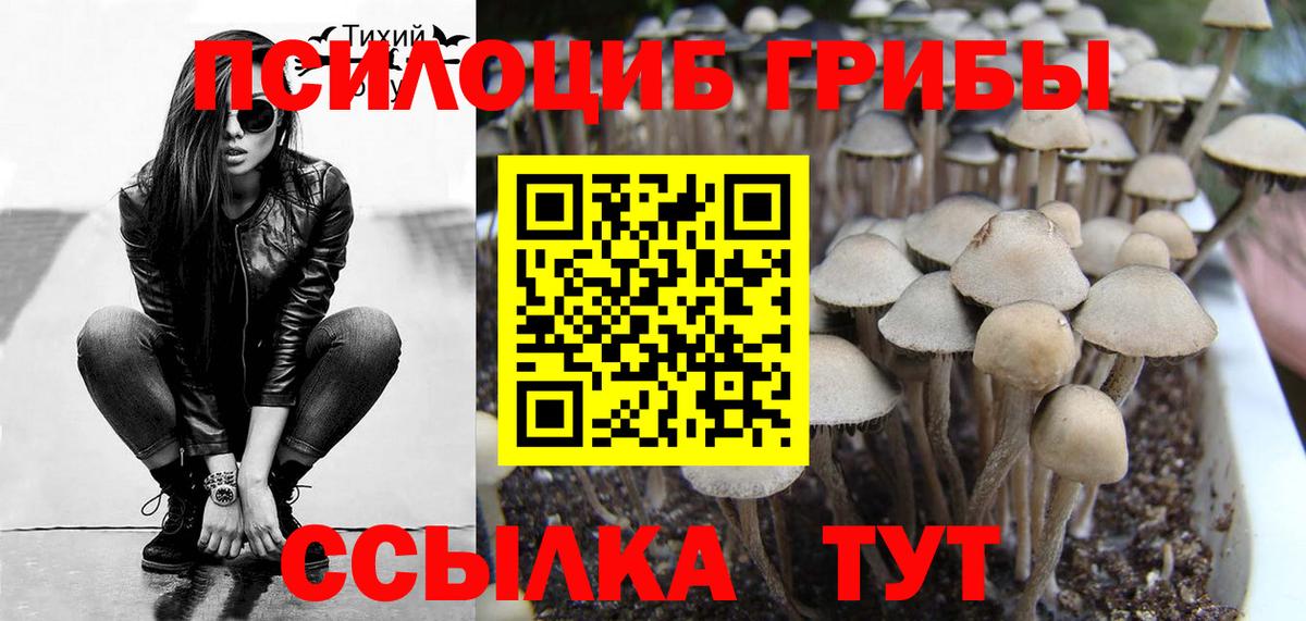 Псилоцибиновые грибы GOLDEN TEACHER Новошахтинск