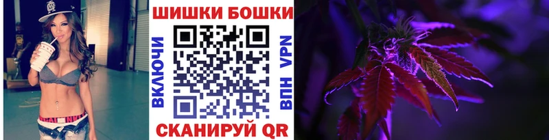 Бошки Шишки ГИДРОПОН  купить наркотик  Новошахтинск 